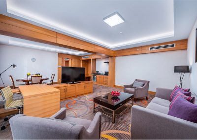 Гостиная в номере «Апартамент» в санатории Источник Ессентуки - фотография