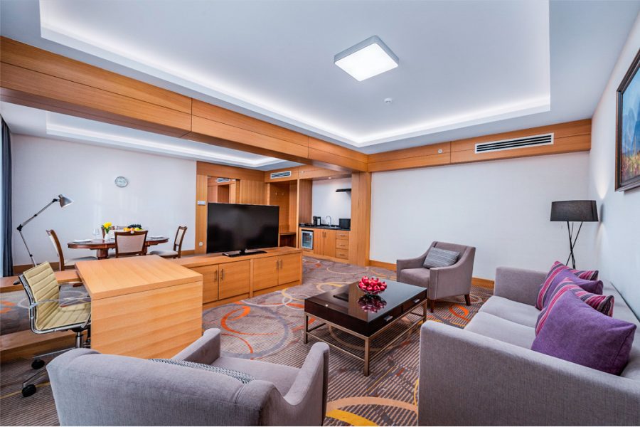 Гостиная в номере «Апартамент» в санатории Источник Ессентуки - фотография