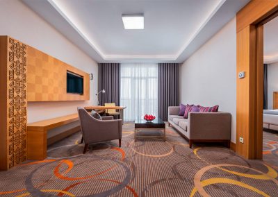 Гостинная в номере «Люкс» в санатории Источник Ессентуки - фотография