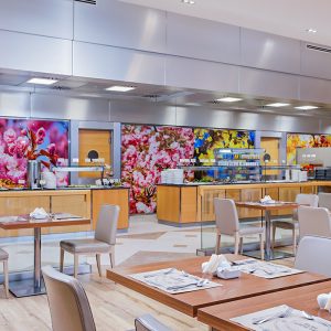 Обеденная зона в санатории Источник Ессентуки - фотография