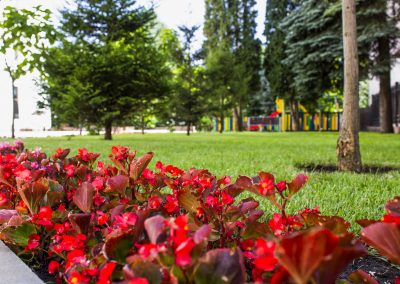 Клумбы санатория Источник Ессентуки - фотография