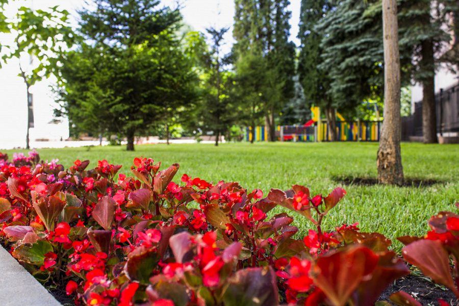 Клумбы санатория Источник Ессентуки - фотография