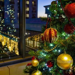 Вид из окна санатория Источник Ессентуки - фотография