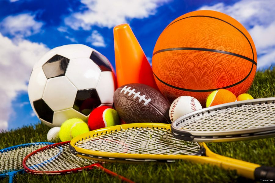 Прокат спортинвентаря в санатории - фотография